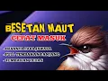 Download Lagu 2 jam masteran CEPAT MASUK Besetan maut tembakan pedas untuk burung Lomba