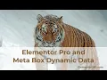 Elementor Pro and Meta Box Dynamic Data