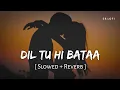 Lagu Dil Tu Hi Bata (Slowed + Reverb) | Zubeen Garg, Alisha Chinai | Krrish 3 | SR Lofi