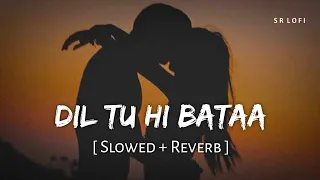 dil tu hi bata slowed reverb zubeen garg alisha chinai krrish 3 sr lofi