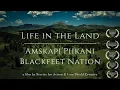 Lagu Life in the Land: Blackfeet Nation - Amskapi'Piikani - Montana, full film