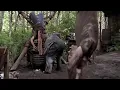 Download Lagu Wrong Turn 2 | Killing scenes | Anything Interesting