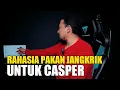 Download Lagu rahasia pakan jangkrik untuk CASPER