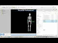 Complete G6 Suit to Visual3D Integration Guide - Advanced Biomechanical Export
