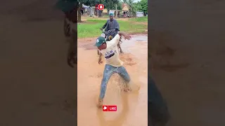i dont want peace i want problems always try not to laugh funny funnyvideo