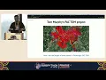 Running every street in Paris with Python and PostGIS Vinayak Mehta