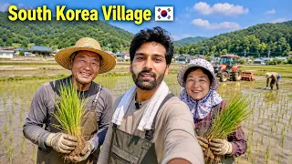 I Spent a Day in a South Korean Village 🇰🇷 | Real Farming Life
