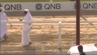 مقطع مضحك من سباق الهجن في قطر دندنها