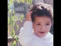 Fel Gneena