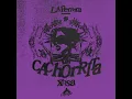 CACHORRITA - xosa