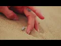 Player Dave - Dumb (Official Music Video)