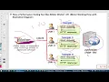 Day-2-JMeter-Basics2Advanced with BeanShell Realtime Projects-Ping 7291923030 to Buy