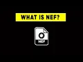 What is a NEF file - Photography PX