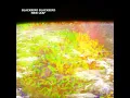 Blackbird Blackbird: New Leaf // HD
