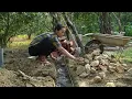 Full Video Female Veteran Transforms Old House into a Beautiful Home - Building a New Life