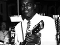 Howlin' Wolf -- Country Sugar Mama