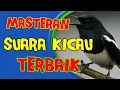 Download Lagu suara burung master om kicau 2021