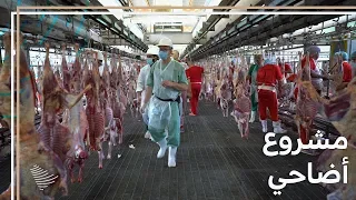 مشروع المملكة العربية السعودية للإفادة من الهدي والأضاحي 