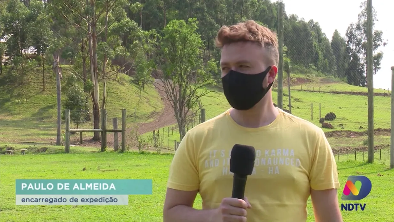 Empreendedorismo: Família transforma propriedade em pousada rural