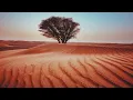 Download Lagu 1 Hour Yoga Music | World Ambient Soundscape for Flow \u0026 Meditation
