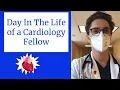 Day In The Life Of A Cardiology Fellow