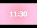 11 Minute 30 Second Timer No Music 11 Minute 30 Second Aesthetic Countdown Timer 11m30s Timer