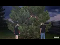 100 gecs - stupid horse (8D AUDIO)
