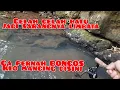 Download Lagu IKAN PENGHUNI SUNGAI TENGAH HUTAN