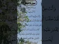 Download Lagu SURAH AL BALAD AMAZING Voice #egzonibrahimi #surahbalad #albalad