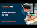 Patient Care Patient Prep - Feline