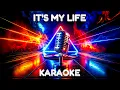 Download Lagu 🔊 EuroMartina - It's My Life (Karaoke Version) // ITALO DISCO / EURO DISCO / MODERN TALKING