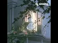 再次拥有
