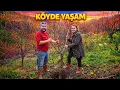 Lagu Bugün Malzemeler Geldi! Köy Evi Yenileniyor | Köyde Yaşam ZOR Ama Güzel