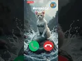 Download Lagu 🤙😺 #ringtone #cat #trending #cutecat #youtubeshorts #viralshort #calling #kitten #shorts #2025trends