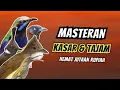 Download Lagu Masteran Full Isian Tembakan Kasar dan Tajam | Masteran Burung Juara