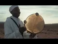 Norfafrica x Kekra x Dizzy DROS - STK STK
