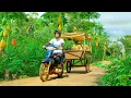 Download Lagu Harvest Papaya And Malabar Spinach To Sell At The Market, Cook, Care For Garden And Animals, Farm.