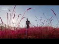 Unity 6 Time Ghost Environment