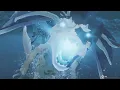 Aurora Somnacanth kinship attack