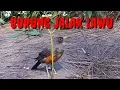 Download Lagu ASMO KINARYO JOPO \