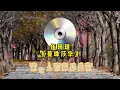 伍珂玥 蔓珠莎華『蔓珠莎華 枯幹發上 花不再香 但美麗心中一再想夜已輕輕跨進窗』【動態歌詞/Lyrics Music】♪