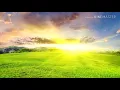 Delino Marçal Que Amor esse- Playback com Letra