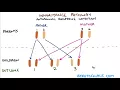 Understanding Autosomal Dominant and Autosomal Recessive Inheritance