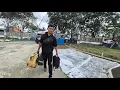Download Lagu SETELAH TIGA TAHUN DI TRANSMIGRASI KALIMANTAN, AKHIRNYA MAS ADIT BALIK KE JOGJA