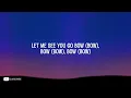 Zeddy Will - Bow Bow Bow (Lyrics)
