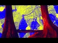Laberinto - Juan Son ft. Luis Humberto Navejas (Album: Fabulas Del Nuevo mundo)