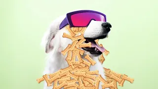 Заставка Nickelodeon 2017 по наше время 