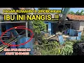 Download Lagu GILA ASLI PARAH❗️SEPANJANG KALI APUR DIBUAT PAGAR EXCAVATOR TANPA AMPUN , PEMILIK NANGIS-NANGIS❗️