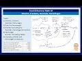 Excel Business Math 10 Division Fractions Decimals Percentages Number Formatting Formulas
