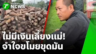 ไม่มีเงินเลี้ยงแม่! ชาย 34 จำใจขโมยขุดมันเต็มรถอีแต๊ก | 1 ก.ย. 69 | ห้องข่าวหัวเขียว